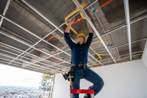 Best Local Plumber Services  in Garland, TX